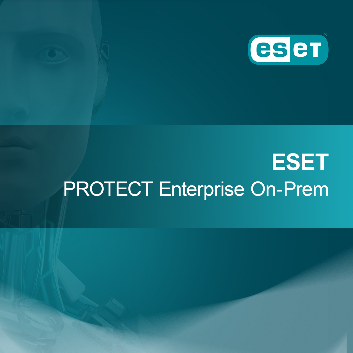 ESET PROTECT Empresa Local