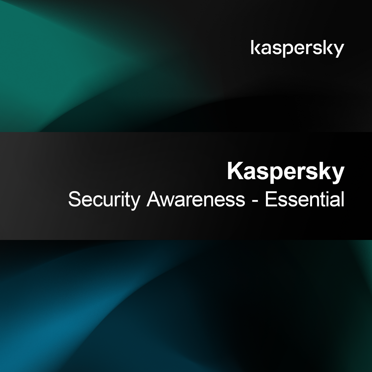 Sensibilisation à la sécurité Kaspersky - Essentiel