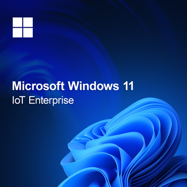 Microsoft Windows 11 IoT Entreprise