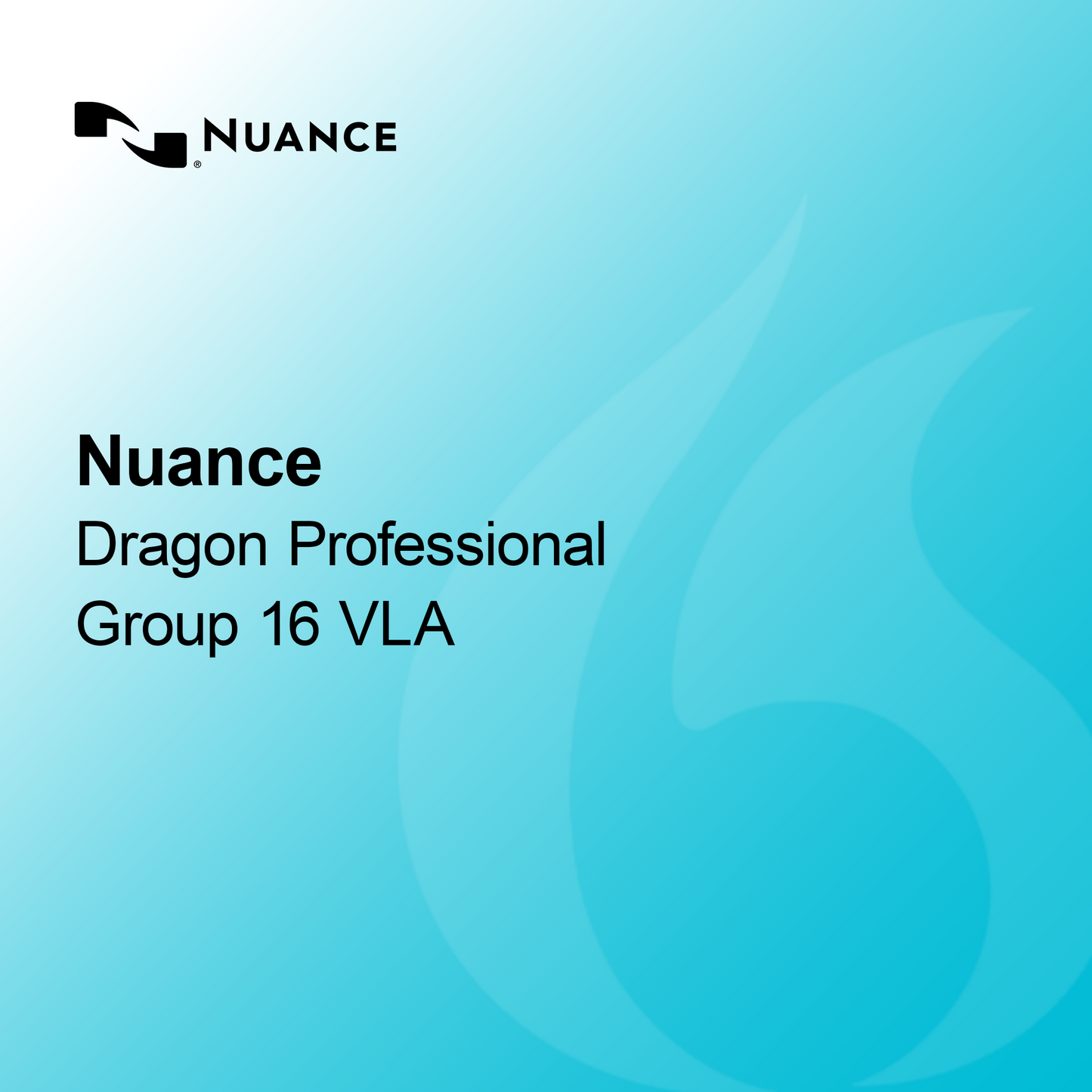 Nuance Dragon Professionnel Groupe 16 VLA